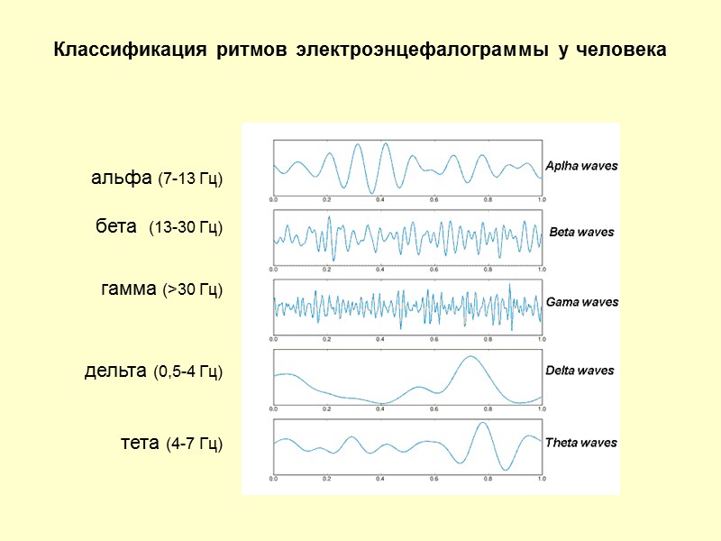 Классификация ритмов электроэнцефалограммы у человека   альфа (7-13 Гц)  бета  (13-30